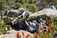 Sequoia National Park Private Guided Hiking Tour thumbnail 6