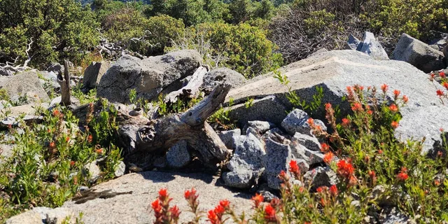 Sequoia National Park Private Guided Hiking Tour - Image 6
