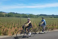 Sonoma Valley Pedal Assist Bike Tour with Lunch thumbnail 3