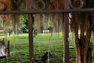 Savannah Ghost Walking Tour at Night thumbnail 6