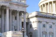 Washington D.C. Capitol Hill Walking Tour thumbnail 2