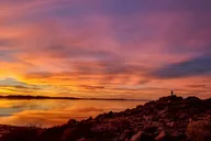 Salt Lake City Safari Tour to Antelope Island thumbnail 3
