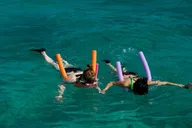 Key West Snorkeling and Dolphin Watching Tour thumbnail 3