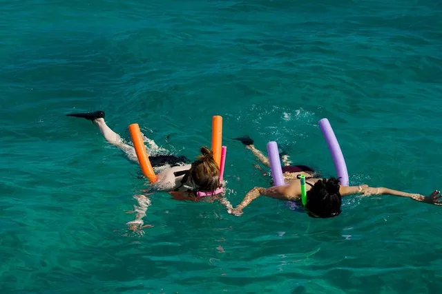 Key West Snorkeling and Dolphin Watching Tour - Image 3
