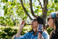 San Francisco Napa and Sonoma Wine Tour thumbnail 3