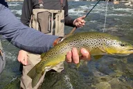 Tuolumne Fly Fishing Adventure 2 Days thumbnail 3