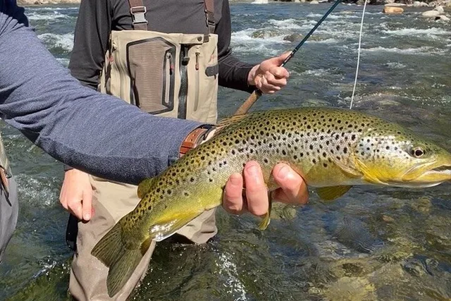 Tuolumne Fly Fishing Adventure 2 Days - Image 3