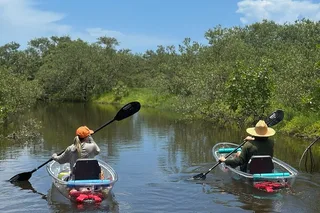 New Smyrna Beach Clear Kayak Tour