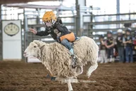 Bulverde Rodeo Experience thumbnail 4