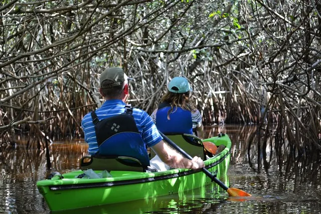 Everglades Kayak Safari Through Mangrove Tunnels - Image 2