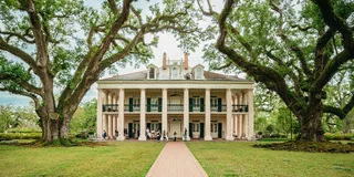 New Orleans Oak Alley Plantation and Swamp Tour