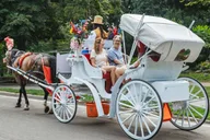 New York City Nighttime Carriage Ride Central Park and Rockefeller Center thumbnail 4