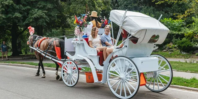 New York City Nighttime Carriage Ride Central Park and Rockefeller Center - Image 4