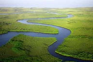 Miami Everglades National Park Small Group Tour thumbnail 5
