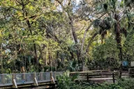 Orlando Everglades Airboat Tour with Pickup thumbnail 2