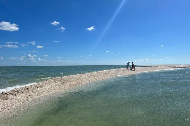 Marco Island Tubing, Dolphin Watching and Shelling Tour - Image 2
