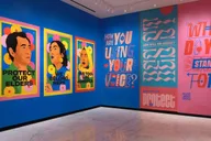 New York City Museum Entry Ticket thumbnail 5