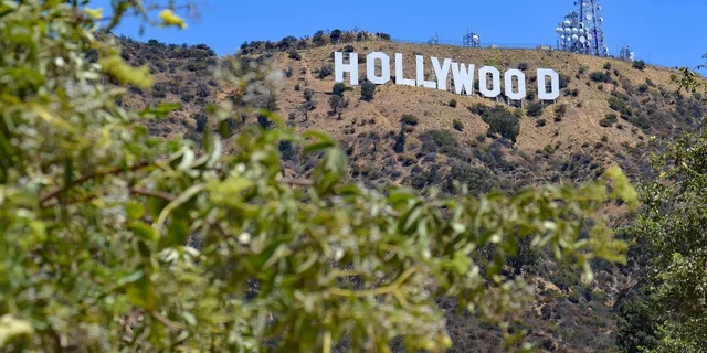 Los Angeles City and Beach Tour with Hotel Pickup - Image 4