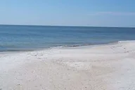 Orlando Clearwater Sea Screamer Day Trip thumbnail 2