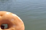 Hilton Head Dolphin Watching Cruise with Donuts thumbnail 2