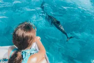 Oahu Snorkel Trip on a Yacht thumbnail 5