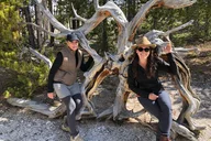 West Yellowstone Hiking Tour with Lunch thumbnail 2