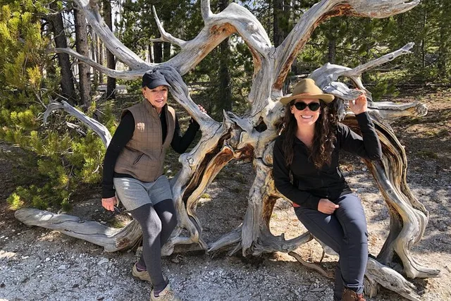 West Yellowstone Hiking Tour with Lunch - Image 2