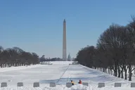 Washington Private Sightseeing Tour thumbnail 4