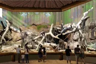 San Antonio Zoo Admission Ticket thumbnail 2