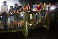 Orlando Gatorland Flashlight Tour at Night 1.5 hr thumbnail 3