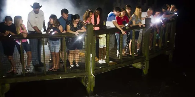 Orlando Gatorland Flashlight Tour at Night 1.5 hr - Image 3