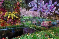 Philadelphia Flower Show Day Tour from Washington DC thumbnail 4
