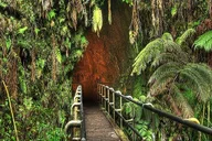 Kauai Volcanoes National Park Tour thumbnail 2