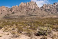 Albuquerque Private Taxi Service thumbnail 3