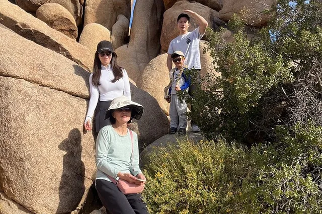Joshua Tree National Park Sightseeing Tour - Image 6