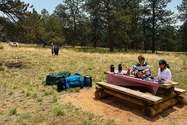 Rocky Mountains Llama Lunch Hike - Image 2
