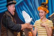 Houston Magic Show Theater thumbnail 3