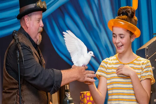 Houston Magic Show Theater - Image 3