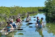 Key West Clear Kayak Eco-Tour thumbnail 1