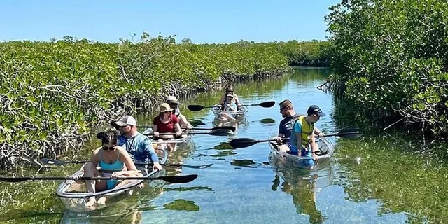 Key West Clear Kayak Eco-Tour - Image 1