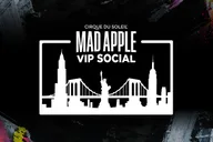 Las Vegas Cirque du Soleil Show VIP Experience thumbnail 2
