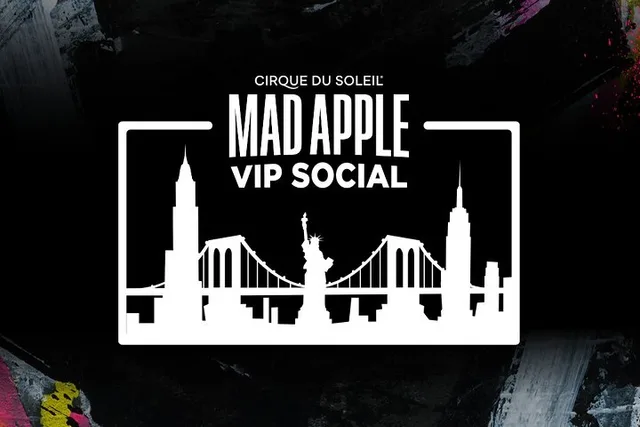 Las Vegas Cirque du Soleil Show VIP Experience - Image 2
