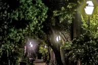 Charleston Dark Side Walking Tour 1.5 hr thumbnail 3