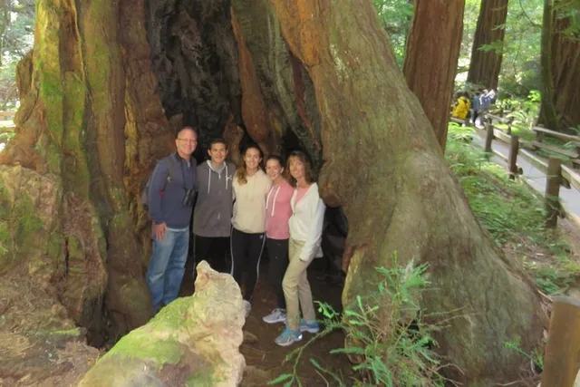 San Francisco Point Reyes and Muir Woods Tour - Image 6