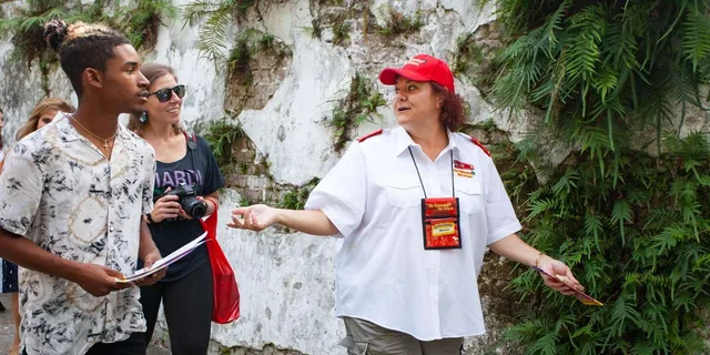 New Orleans Hop-On Hop-Off Bus Tour - Image 3
