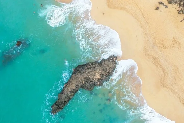 Oahu North Shore Private Tour - Image 4