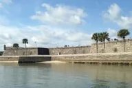 St. Augustine Dolphin and Wildlife Boat Tour thumbnail 4