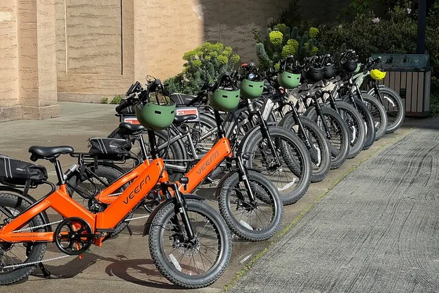 San Francisco Electric Bike Tour - Image 3