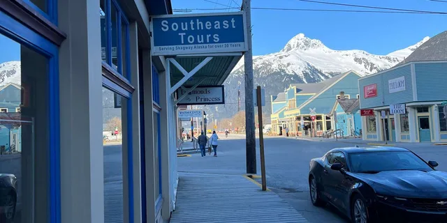 Skagway Yukon Suspension Bridge & Summit Tour - Image 3