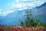 Anchorage Seward Highway Self-Guided Drive thumbnail 5
